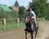 A 2014-es vásár képei